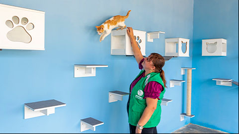 Programa de Apoio aos Animais completa 4 anos com mais de 8 mil atendimentos e inicia nova fase