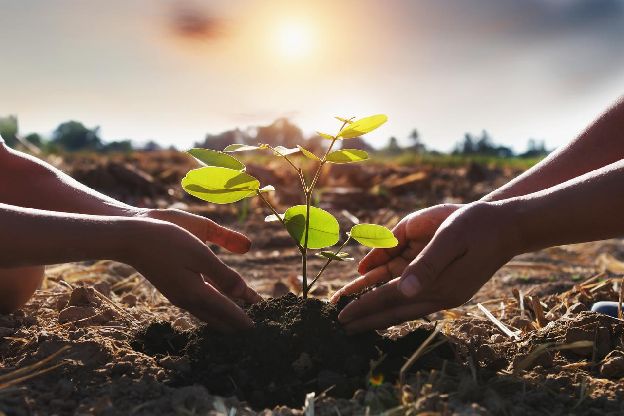 Braskem s the Renewable Carbon Initiative to  its journey toward a net-zero circular economy by 2050