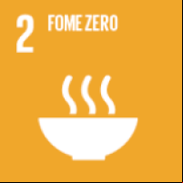 Fome zero