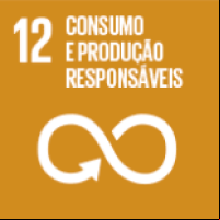Consumo e produção responsáveis