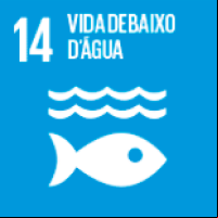 Vida de baixo d'água