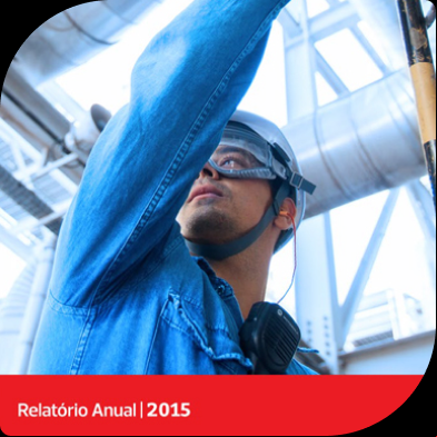 Relatório Anual 2015